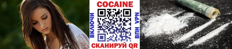 Купить закладки  Славгород  Cocaine Эквадор 