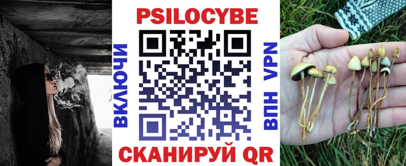 Псилоцибиновые грибы Magic Shrooms  Купить где  Славгород 