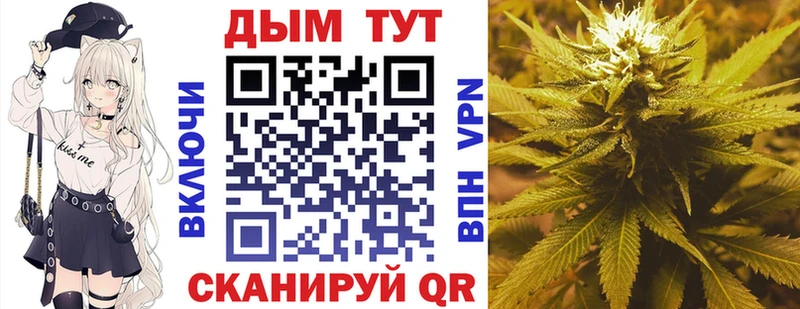 Бошки Шишки сатива  Купить где  Славгород 